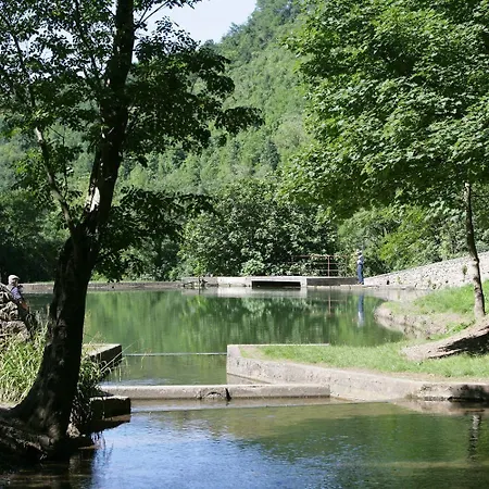 Logis - Et Restaurant De La Montagne Noire Hotell